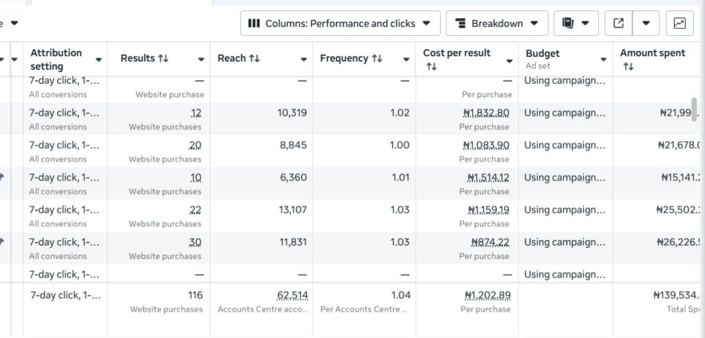 Meta Ads Campaign for Local Business