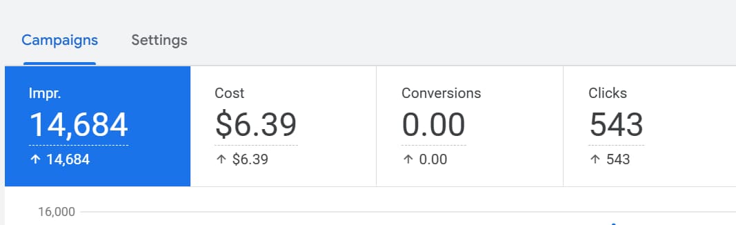 Google Ads campaign and search advertising portfolio