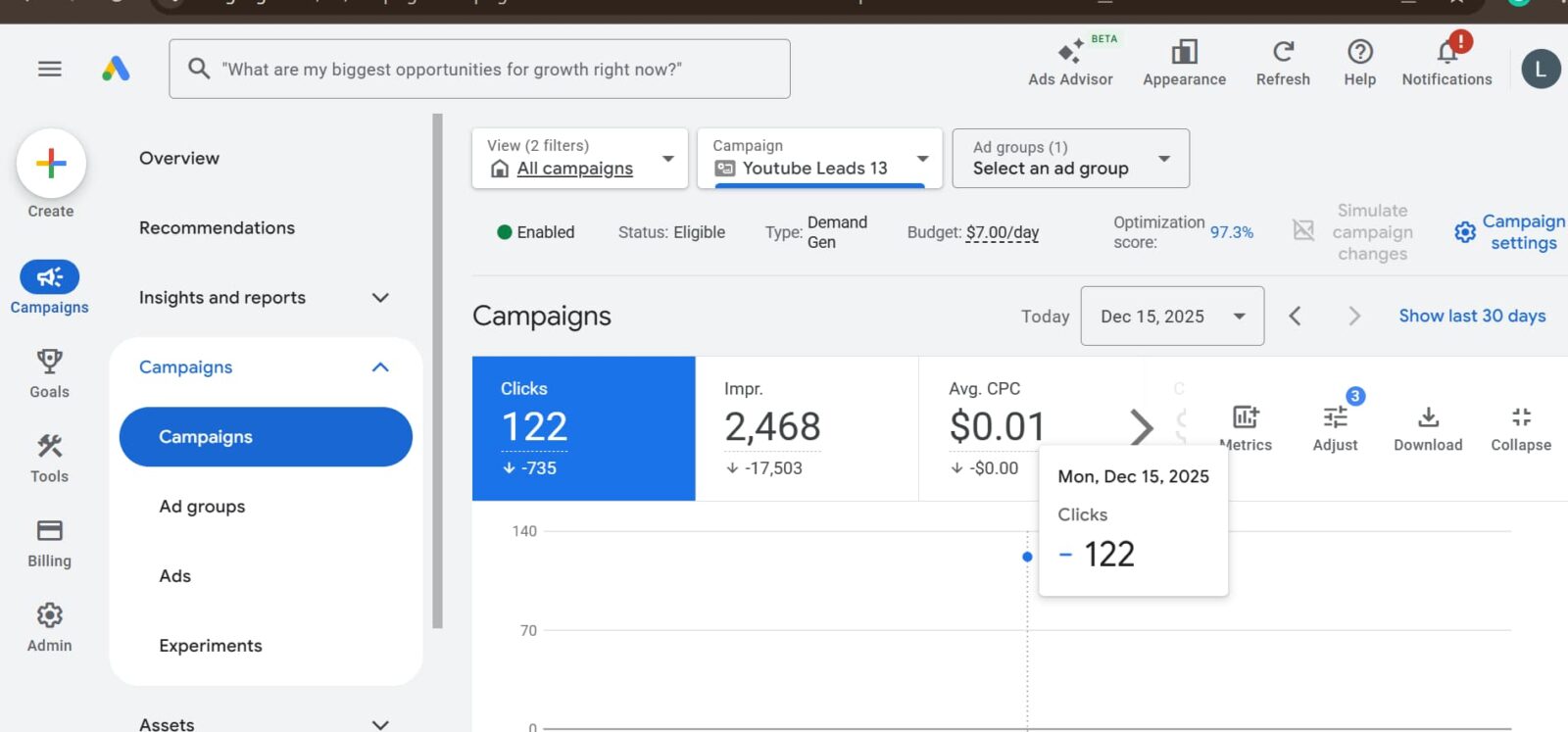 Google Ads campaign and search advertising portfolio