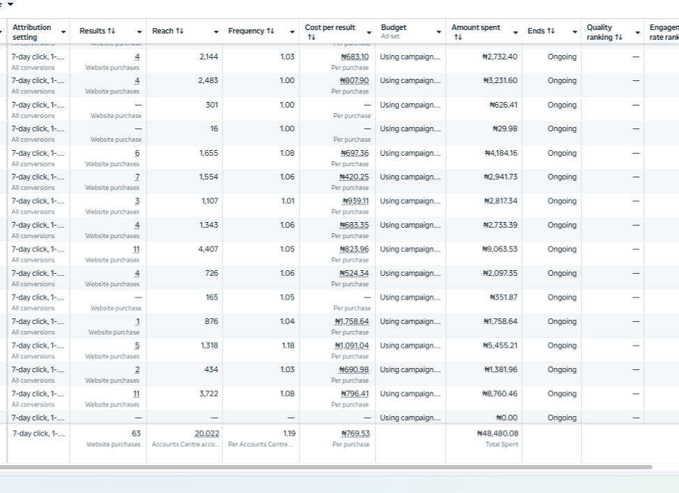 Meta ads Result