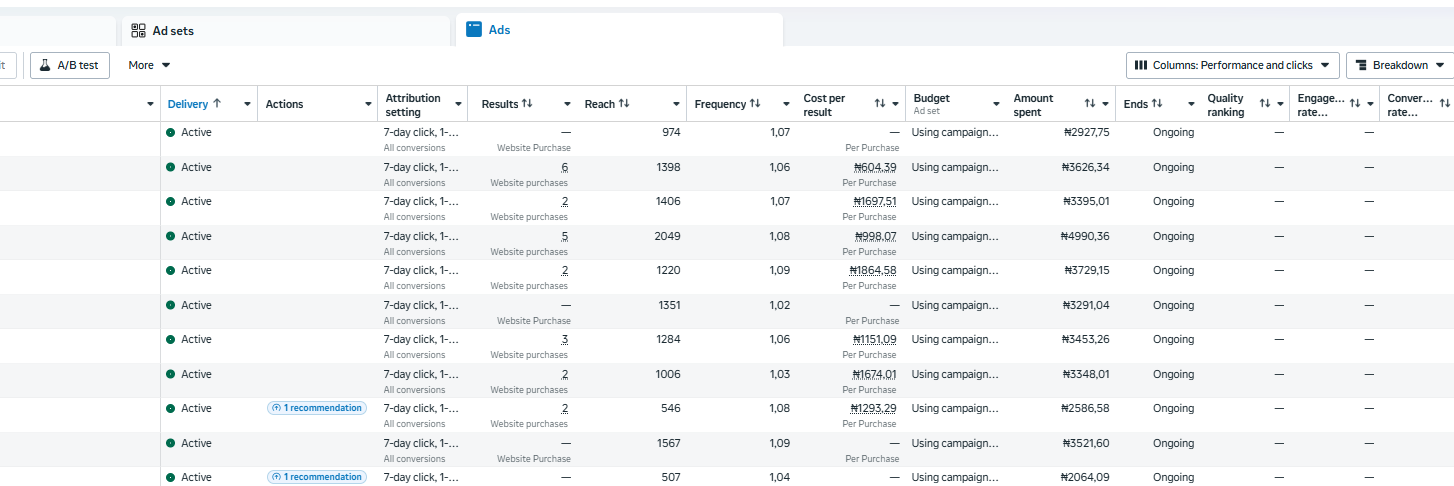 Meta ads Result